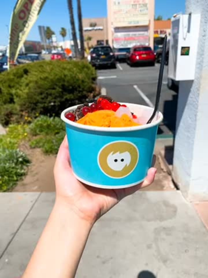 Video review of Iceskimo