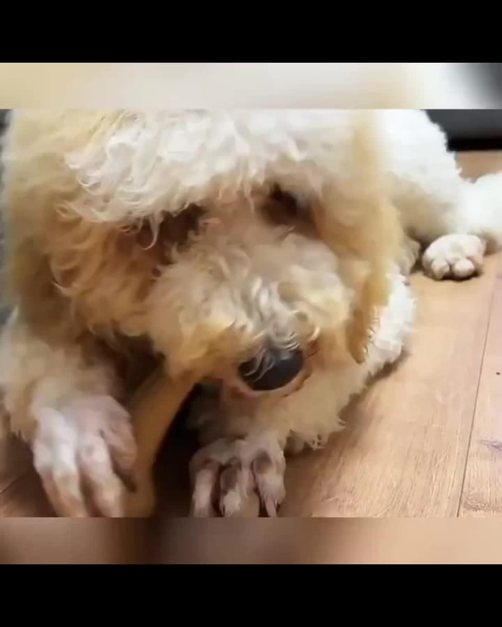 United States Botanic Garden